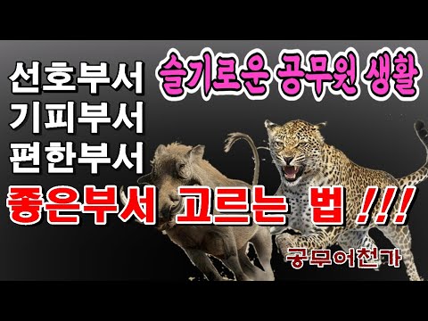 공무원 선호부서, 요직 보다.. 플랜B 원한다면~ 🎖좋은부서 따로있다! | 공무원생활 잘하는법, 기피부서 | 과장 출신 공무원이 알려 드림🙏 공무원 선호부서, 요직 보다.. 플랜B 원한다면~ 🎖좋은부서 따로있다! | 공무원생활 잘하는법, 기피부서 | 과장 출신 공무원이 알려 드림🙏