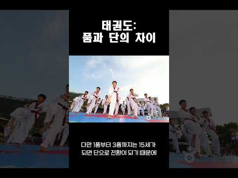 태권도: 품과 단의 차이 태권도: 품과 단의 차이