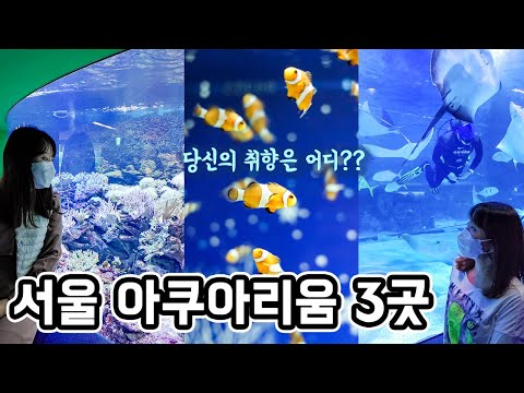 서울 실내가볼만한곳 아쿠아리움 비교 3곳 🐟 아쿠아플라넷63, 코엑스 아쿠아리움, 롯데월드 아쿠아리움 😆 서울 실내가볼만한곳 아쿠아리움 비교 3곳 🐟 아쿠아플라넷63, 코엑스 아쿠아리움, 롯데월드 아쿠아리움 😆