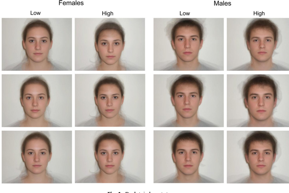 Pdf] Facing A Psychopath: Detecting The Dark Triad From Emotionally-Neutral  Faces, Using Prototypes From The Personality Faceaurus | Semantic Scholar
