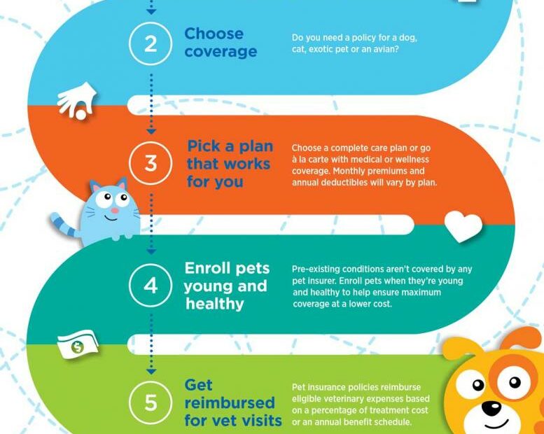 Pet Insurance 101 Infographic | How Does Pet Insurance Work?