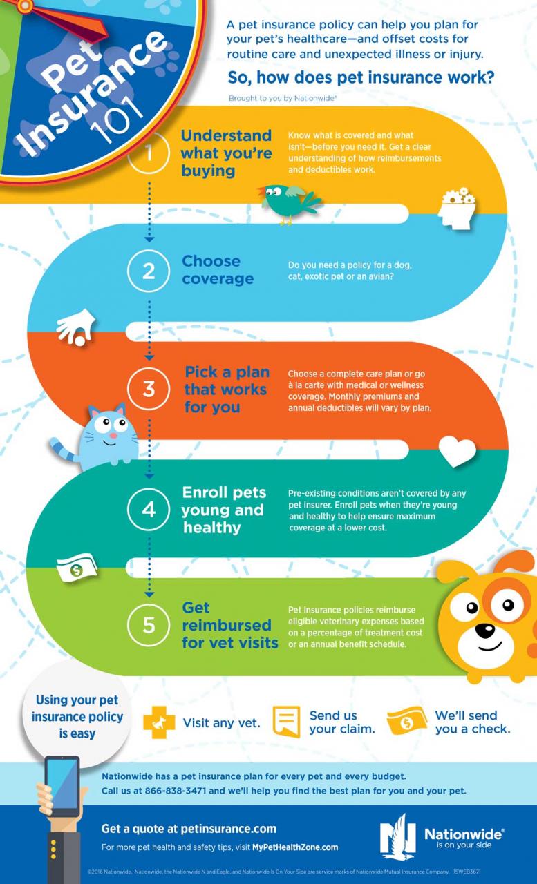Pet Insurance 101 Infographic | How Does Pet Insurance Work?