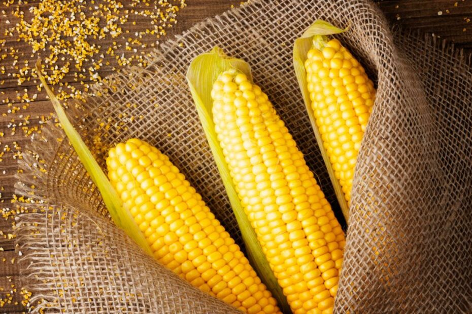 This What Happens When You Eat Corn Every Day