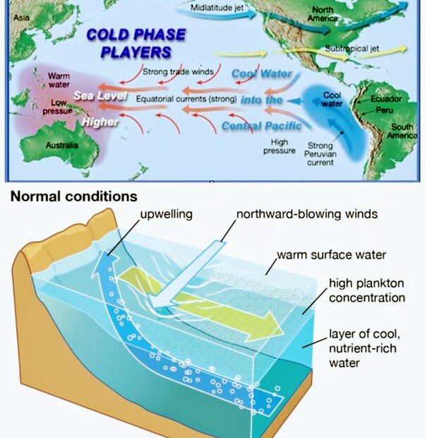 What Is Importance Of Indian Monsoon? - Quora