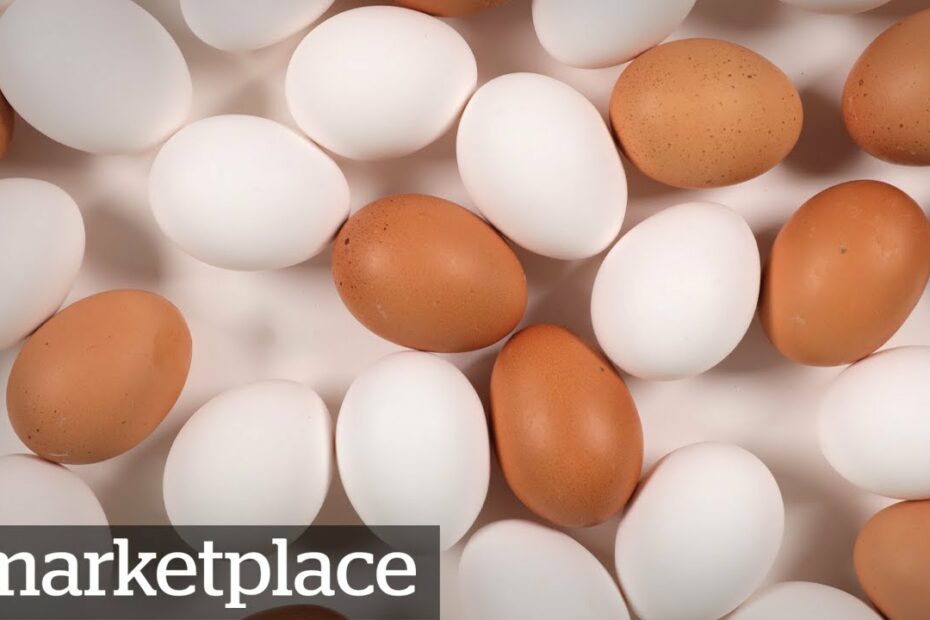 Which Eggs Are More Nutritious? Testing Organic, Free-Run And Conventional  (Marketplace) - Youtube
