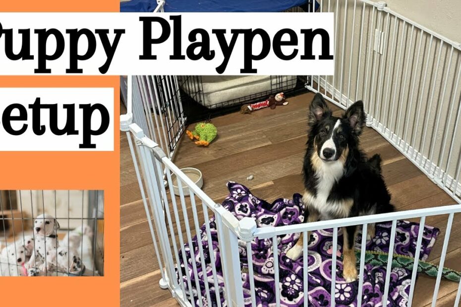 My Puppy Playpen Setup - Youtube