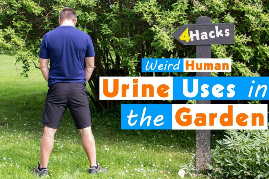 4 Weird Human Urine Uses In The Garden - Youtube