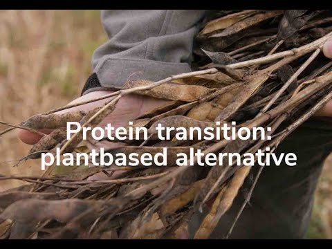 Lovely Lupin    Smart Food Innovators - Protein Transition - Think East Netherlands